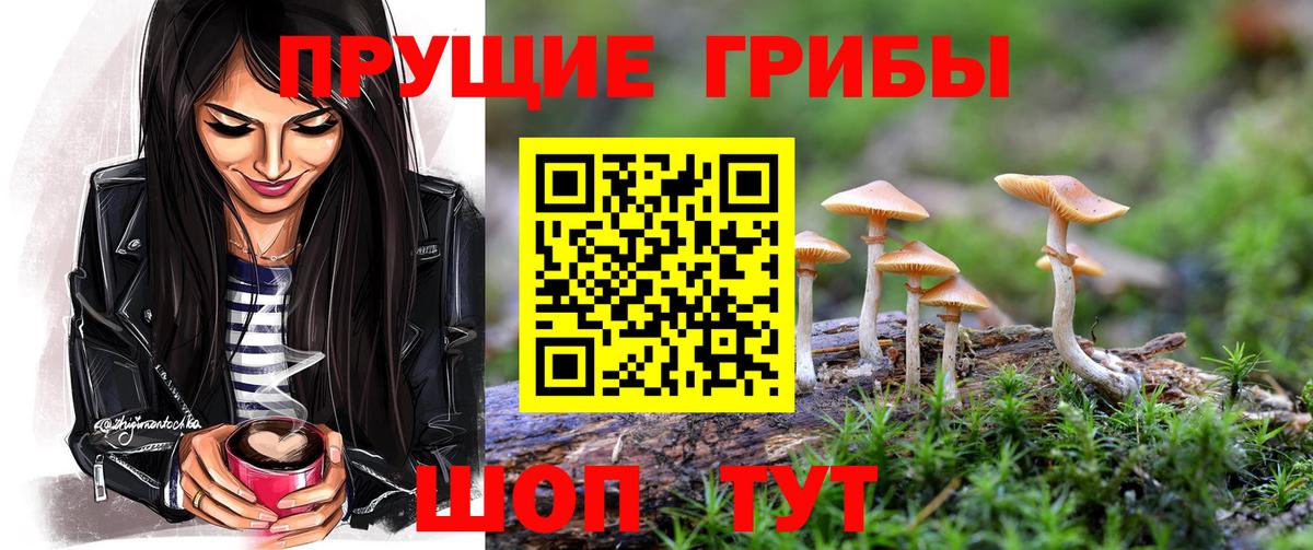 Галлюциногенные грибы прущие грибы  Вход с VPN  Полысаево 