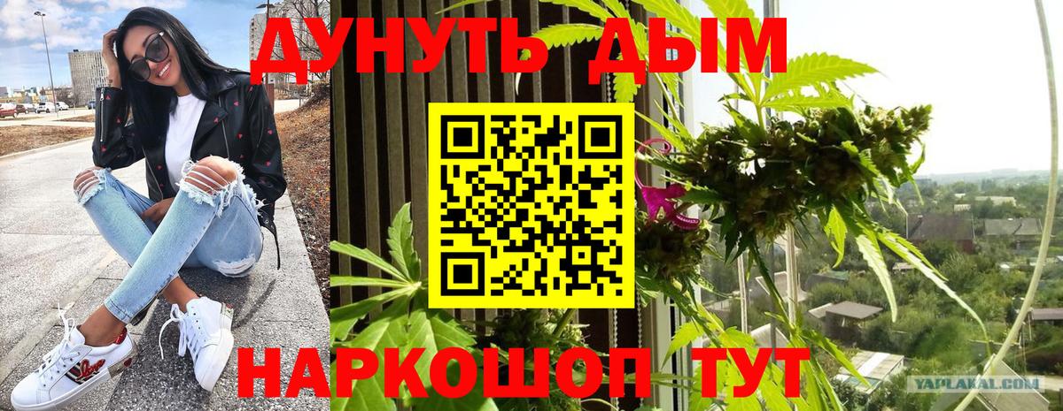 Канабис Bruce Banner Полысаево